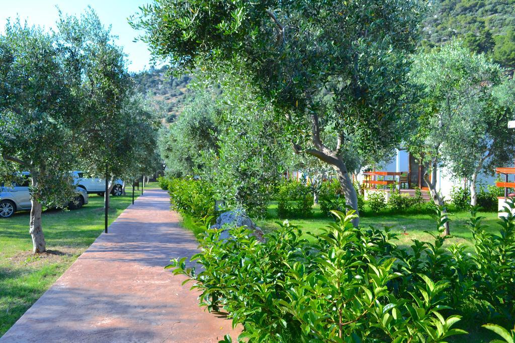 Agriturismo Antichi Ulivi Villa Mattinata Exterior photo